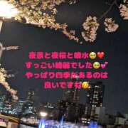 ヒメ日記 2025/04/14 17:26 投稿 みく 奥様さくら日本橋店