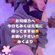 ヒメ日記 2025/04/20 12:42 投稿 みく 奥様さくら日本橋店