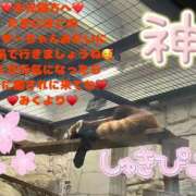 ヒメ日記 2025/05/02 12:13 投稿 みく 奥様さくら日本橋店