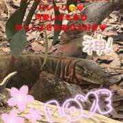 ヒメ日記 2025/05/02 12:16 投稿 みく 奥様さくら日本橋店