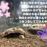 ヒメ日記 2025/05/03 11:17 投稿 みく 奥様さくら日本橋店