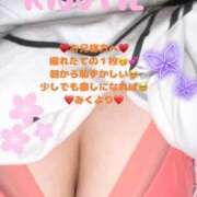 ヒメ日記 2025/05/20 12:41 投稿 みく 奥様さくら日本橋店