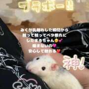 ヒメ日記 2025/05/25 19:01 投稿 みく 奥様さくら日本橋店