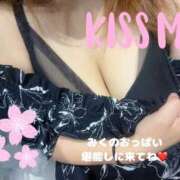 ヒメ日記 2025/06/03 12:00 投稿 みく 奥様さくら日本橋店