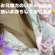 ヒメ日記 2025/07/15 19:01 投稿 みく 奥様さくら日本橋店