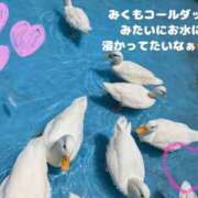 ヒメ日記 2025/07/19 13:21 投稿 みく 奥様さくら日本橋店