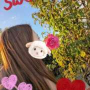 ヒメ日記 2025/11/16 08:21 投稿 みく 奥様さくら日本橋店