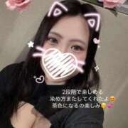 ヒメ日記 2025/12/18 09:06 投稿 みく 奥様さくら日本橋店