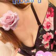 ヒメ日記 2026/01/22 16:11 投稿 みく 奥様さくら日本橋店