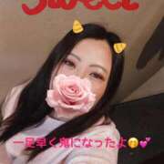 ヒメ日記 2026/01/28 08:50 投稿 みく 奥様さくら日本橋店