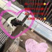 ヒメ日記 2026/02/02 13:32 投稿 みく 奥様さくら日本橋店