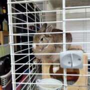 ヒメ日記 2025/03/05 17:27 投稿 まなみ club さくら日本橋店