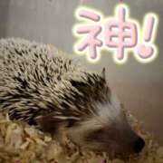 ヒメ日記 2025/03/12 13:16 投稿 みく club さくら日本橋店