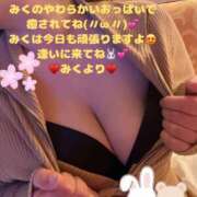 ヒメ日記 2025/03/16 07:16 投稿 みく club さくら日本橋店