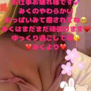 ヒメ日記 2025/03/19 17:56 投稿 みく club さくら日本橋店