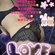 ヒメ日記 2025/03/25 07:06 投稿 みく club さくら日本橋店