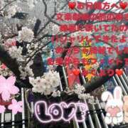 ヒメ日記 2025/03/27 13:26 投稿 みく club さくら日本橋店