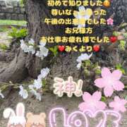 ヒメ日記 2025/03/27 19:06 投稿 みく club さくら日本橋店