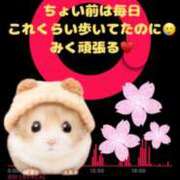 ヒメ日記 2025/04/02 13:16 投稿 みく club さくら日本橋店