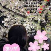 ヒメ日記 2025/04/08 21:46 投稿 みく club さくら日本橋店