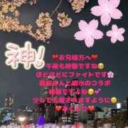 ヒメ日記 2025/04/11 16:46 投稿 みく club さくら日本橋店