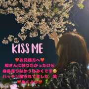 ヒメ日記 2025/04/12 09:27 投稿 みく club さくら日本橋店