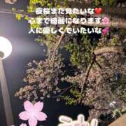 ヒメ日記 2025/04/14 17:46 投稿 みく club さくら日本橋店