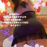 ヒメ日記 2025/04/16 08:16 投稿 みく club さくら日本橋店