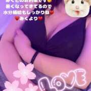 ヒメ日記 2025/04/21 07:46 投稿 みく club さくら日本橋店