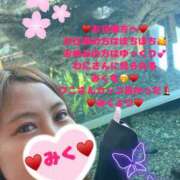 ヒメ日記 2025/05/01 08:36 投稿 みく club さくら日本橋店