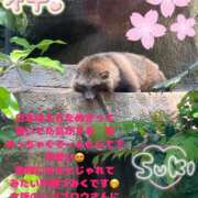 ヒメ日記 2025/05/03 09:36 投稿 みく club さくら日本橋店