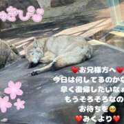 ヒメ日記 2025/05/04 16:06 投稿 みく club さくら日本橋店