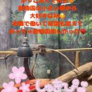 ヒメ日記 2025/05/05 06:36 投稿 みく club さくら日本橋店