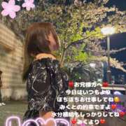 ヒメ日記 2025/05/07 07:46 投稿 みく club さくら日本橋店