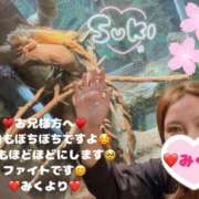 ヒメ日記 2025/05/08 07:16 投稿 みく club さくら日本橋店