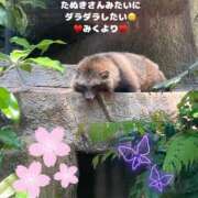 ヒメ日記 2025/05/13 11:16 投稿 みく club さくら日本橋店