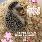 ヒメ日記 2025/05/21 10:16 投稿 みく club さくら日本橋店