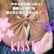 ヒメ日記 2025/06/09 09:06 投稿 みく club さくら日本橋店