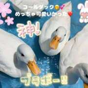 ヒメ日記 2025/06/24 07:46 投稿 みく club さくら日本橋店