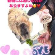 ヒメ日記 2025/08/14 15:36 投稿 みく club さくら日本橋店