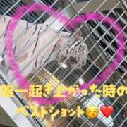 ヒメ日記 2025/10/03 14:06 投稿 みく club さくら日本橋店