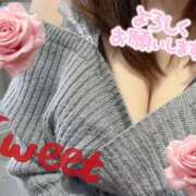 ヒメ日記 2025/11/29 09:46 投稿 みく club さくら日本橋店