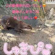 ヒメ日記 2026/01/17 11:29 投稿 みく club さくら日本橋店