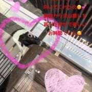 ヒメ日記 2026/02/02 13:50 投稿 みく club さくら日本橋店