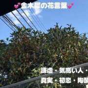 ヒメ日記 2026/10/11 00:00 投稿 みく club さくら日本橋店