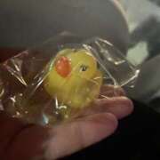 ヒメ日記 2025/03/08 03:15 投稿 ゆら ちゃんこ大阪伊丹空港豊中店