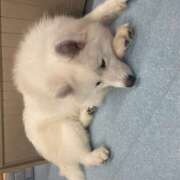 ヒメ日記 2025/09/08 14:24 投稿 なのは 新橋フェアリーズ