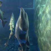 ヒメ日記 2025/09/29 14:21 投稿 なのは 新橋フェアリーズ