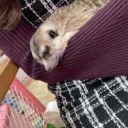 ヒメ日記 2025/12/22 12:29 投稿 なのは 新橋フェアリーズ