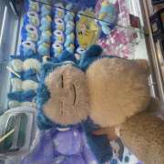 ヒメ日記 2026/03/27 11:09 投稿 なのは 新橋フェアリーズ